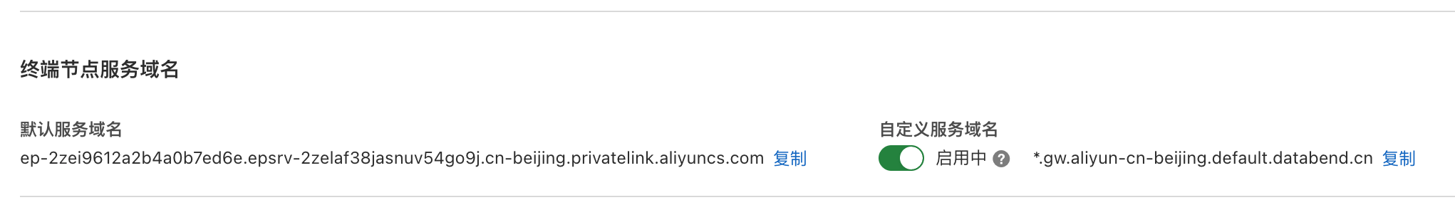 Custom Service Domain