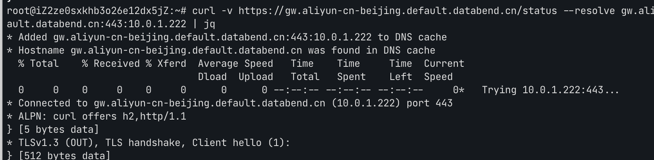 Verify Endpoint Request