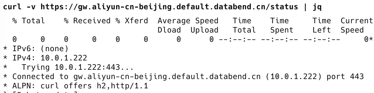 Verify Endpoint Request